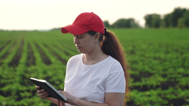 Agriculture, Farmer woman smiling in field, Female agronomist at sunrise, Green seedlings and agricultural technology, Rural woman using tablet, Worker in cap with digital device, Farming innovation