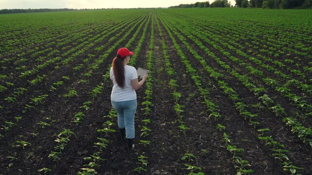 Agriculture, Farming and digital education, Agriculture student in the field, Future of agriculture is digital, Young entrepreneurs in agro, Smart data farming, Sustainable food production, Woman