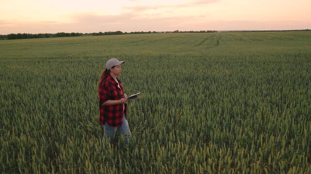 Agriculture, Agritech in the field, Woman at farm edge, Nature studies at sunset, Young farmer with gadget, Rural digital revolution, Evening light on crops, Green farming innovation, Female