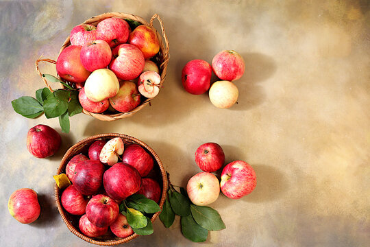 Assortment of apple varieties in a basket on concrete table, Thanksgiving background, concept of healthy,natural eating and the harvest, banner for cafes and restaurants, detox diet and body cleansing
