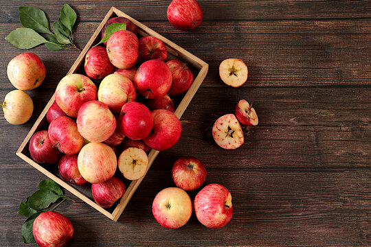 Assortment of apple varieties on wooden table, Thanksgiving background, concept of healthy, natural eating and the harvest, banner for cafes and restaurants, detox diet and body cleansing,