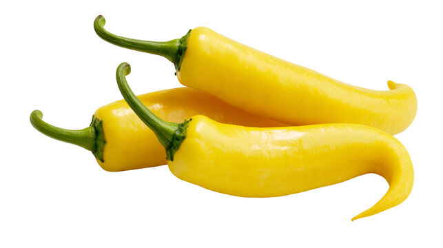 Isolated three bright yellow hot chili peppers, vibrant spicy fresh food ingredients