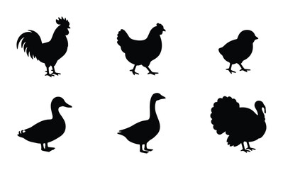 Fototapeta premium Farm animals vector silhouette set, poultry collection with rooster, hen, chick, duck, goose