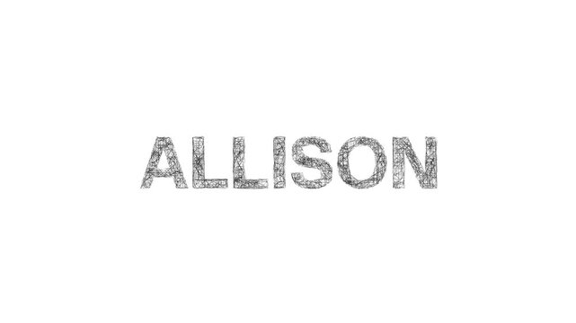 ALLISON - white and white sketch uppercase text - progressive reveal on white background
