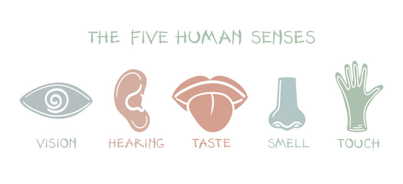 Pastel Five Senses Vector Clip Art