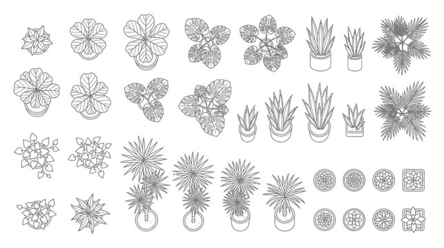 Architectural Floor Plan Houseplants and Potted Trees Top View Line Icons Set