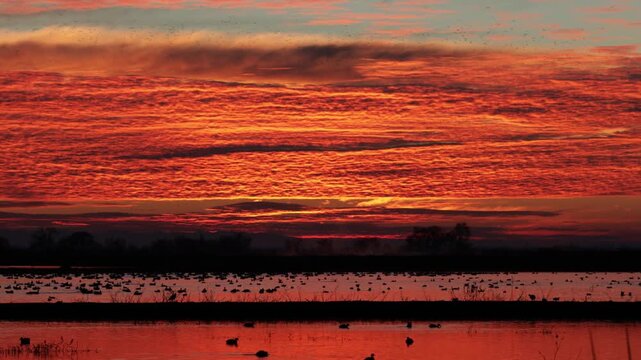 Panning view of a dramatic red and orange sunrise over wetlands filled with waterfowl at Merced National Wildlife Refuge in California&rsquo;s Central Valley.