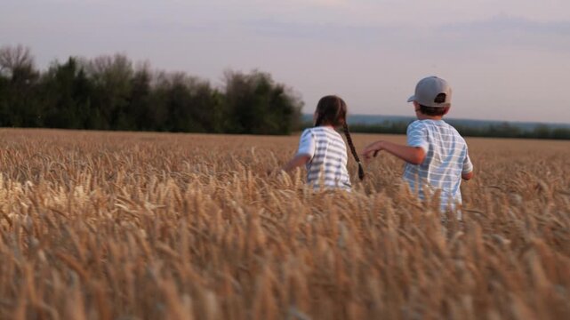 Happy children run quickly through wheat field. Cheerful children kids friends playing catch-up in yellow nature field. Joyful cheery siblings kids boy girl rush along huge lawn, playing fun game.