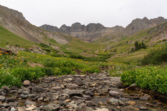 Rocky Alpine Creek Through Wildflower Meadow in a Mountain Basin