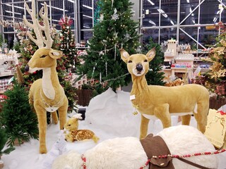 Festive christmas display with reindeer and decorated trees © Katerina