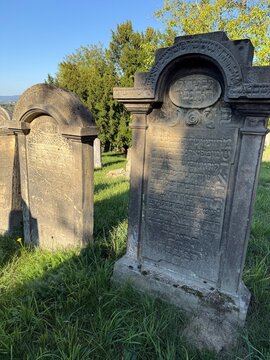 Weathered stone tombstones with Hebrew inscriptions on the historic Jewish cemetery in Lo&scaron;tice, Czech Republic.