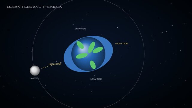 Animated depiction of ocean tides caused by the Moon's gravitational pull showing high and low tide cycles