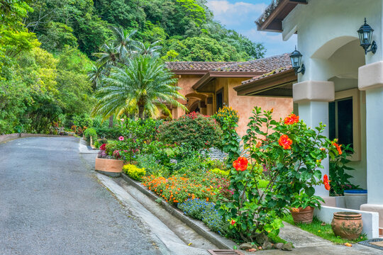 Lush tropical garden in Boquete, Panama