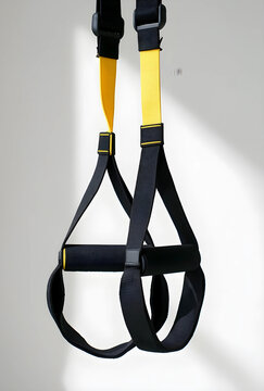 Fitness and functional training, suspension straps for bodyweight exercise and strength conditioning in a home gym or professional health club setting