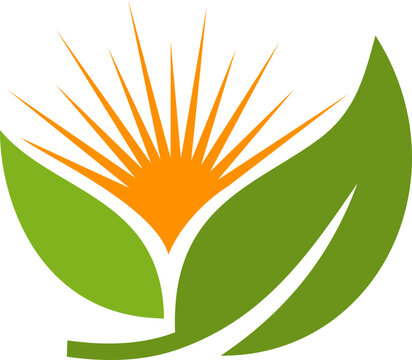 Green Leaf and Sun Symbol for Nature Energy and Growth