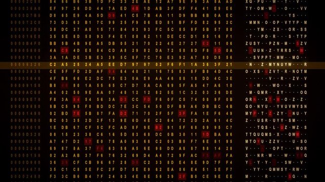 Seamless loop hexadecimal memory dump scrolling data