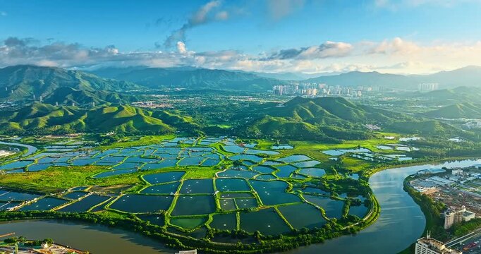 High angle view reveals lush green fish ponds surrounded by a meandering river and distant mountains in Shenzhen under clear blue sky.