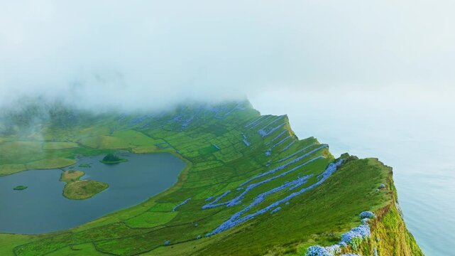 Aerial view of a hiker standing on a green ridge with blooming hydrangeas, looking over steep ocean cliffs and Caldeirao crater with lake on Corvo Island, Azores, Portugal. Moving forward