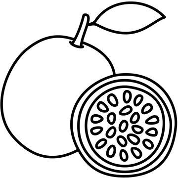 Illustration of markisa 