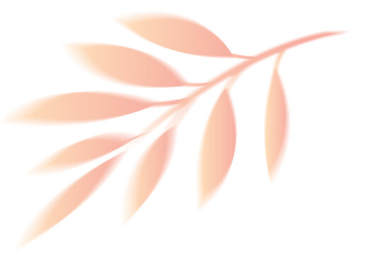 Minimalist Peach Pink Botanical Branch Illustration with Soft Orange Gradient Leaves