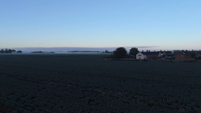 Farmland stretches under quiet dawn sky