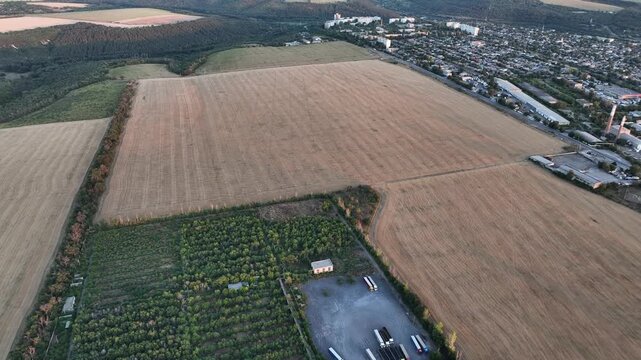 Harvested agricultural fields and orchard in a drone aerial view beside a town. Peri-urban farming, land management and agricultural land use planning