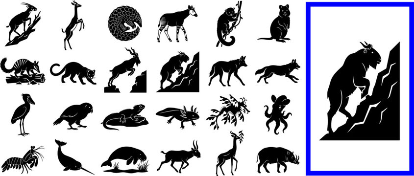 Black exotic animal silhouette icon set ibex gerenuk pangolin okapi langur numbat fossa puma markhor wolf shoebill owl iguana takin