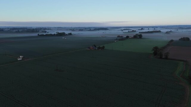 Dawn light kisses fog-shrouded farmland