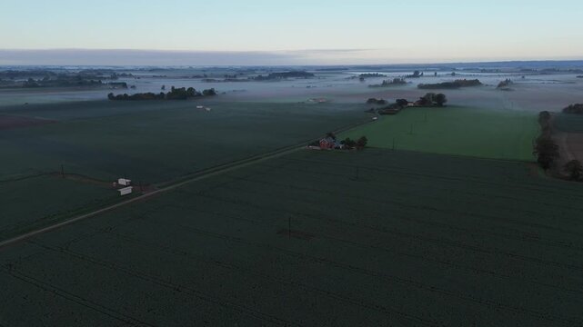Dawn light kisses fog-shrouded farmland