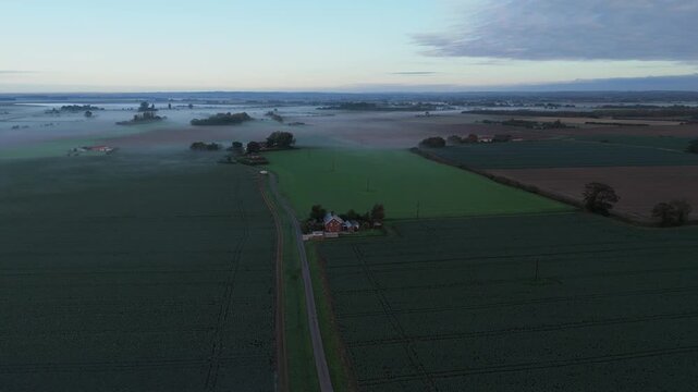 Misty dawn blankets quiet farmland in soft blue light