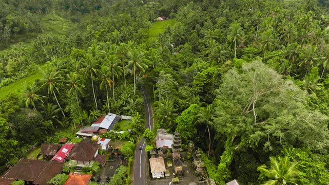 Aerial view of traditional Balinese village architecture with terracotta rooftops nestled along a winding road, surrounded by lush green palm trees and dense tropical jungle in Ubud, Bali, Indonesia