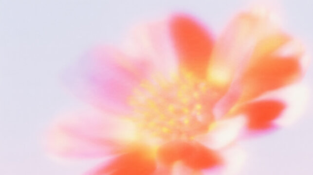 blurred flower in vibrant green purple and pink
