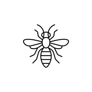 Minimalist line art icon of a honey bee with honeybee wildlife pollinator creature environment entomology