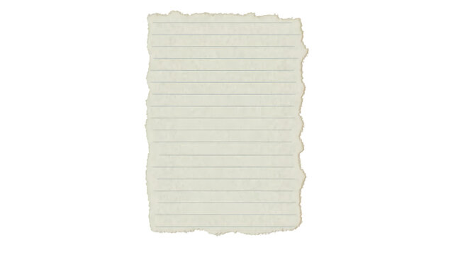 Single torn piece of lined notebook paper with rough edges paper sheet rough edge ripped blank page writing white background school supply