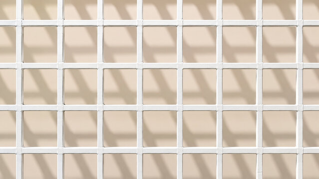 Decorative Architectural Grille and Grid Panel on Plain Background