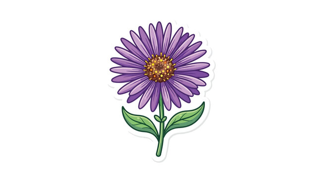 A vibrant purple aster flower with green leaves and stem, isolated on a white background.