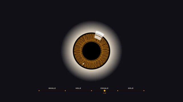 Human Iris Dilation Box Breathing Animated Loop for Focus and Mindfulness