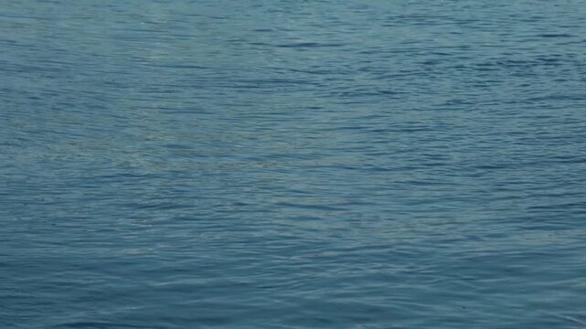 Close-Up of Gentle Waves Lapping Against a Dark Blue Shore