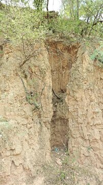 Clay Dirt Cliff Wall Beside Wild Green Vegetation