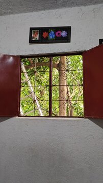 Removing Extension Ladder Away From Window Frame After Painting