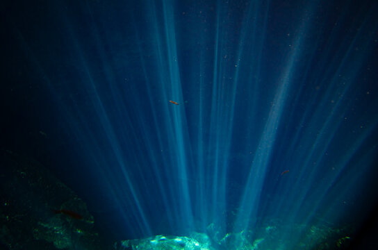 agua dulce, paisaje submarino, profundidad, cueva submarina, cenote, M&eacute;xico, naturaleza, ecosistema acu&aacute;tico, vida acu&aacute;tica, peces, peces peque&ntilde;os, agua azul, azul profundo, rayos de luz, luz submarin