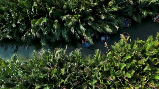 Tourists enjoy a serene journey in circular woven bamboo vessels