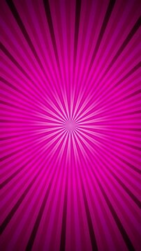 Rotating pink sunburst starburst radial rays seamless loop motion