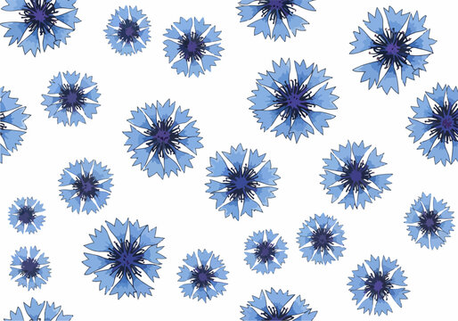 Blue Cornflower Pattern Seamless Background