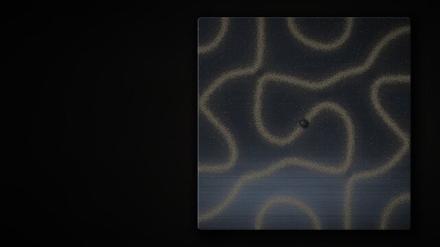 Chladni Plate Sand Patterns Morphing Cymatics Top View Seamless Loop