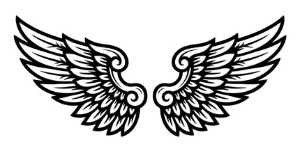 Fototapeta premium Stylized Black and White Wing Illustration