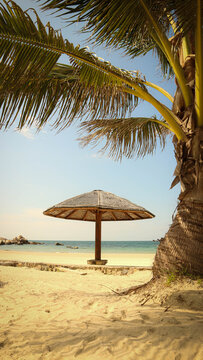 Relaxing tropical vacation concept featuring beach parasol under palm leaves with clear sea view