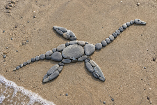 Outline of a plesiosaur made from grey river stones on a sandy beach.