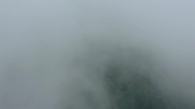 Aerial View of Dense Fog over a Green Forest in Sri Lanka