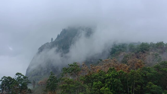 Foggy Mountain Peak Overlooking Dense Forest in Sri Lanka Aerial View